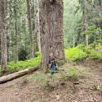 High Rock Campground ico