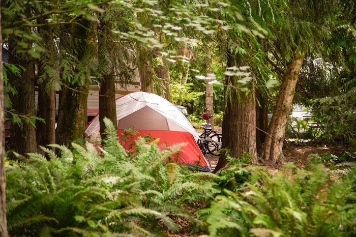 Thousand Trails Chehalis Picture 4