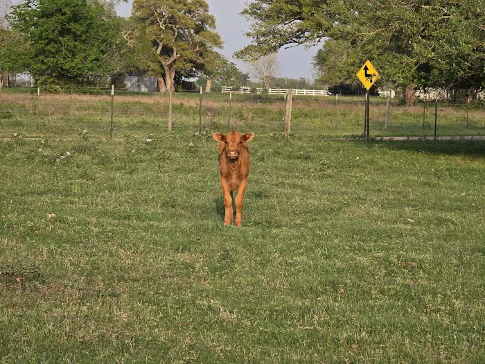 Dippel RV Park Picture 4