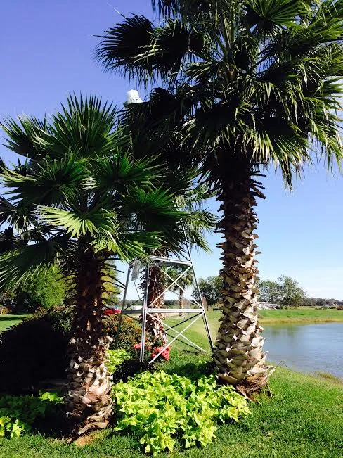 Dillard's R.V. Park Picture 3