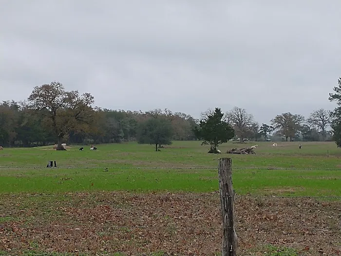 Ross's South Forty RV Park Picture 2