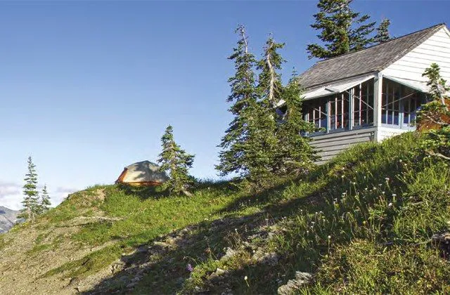 Dodger Point Picture 1