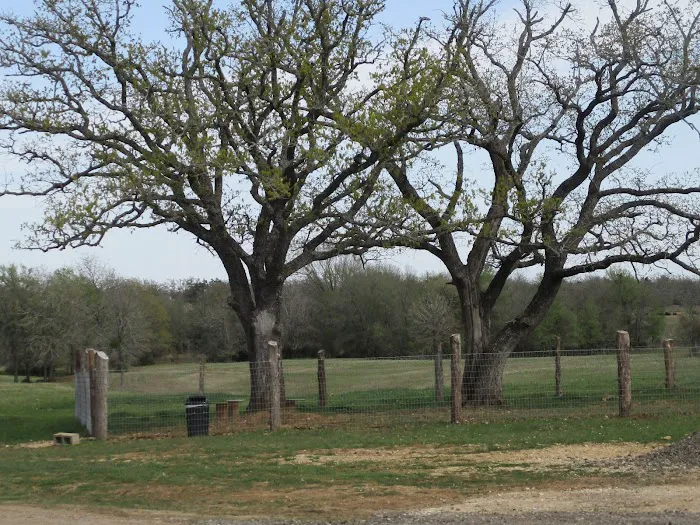 Hwy 21 RV Park and Storage Picture 6