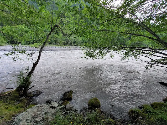 Silver Springs Campground Picture 6