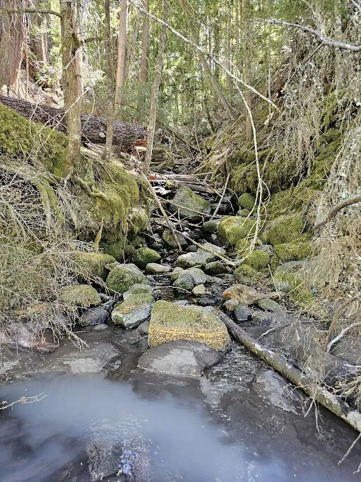 Ranger Creek Campground Picture 5