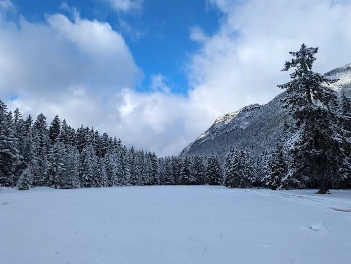 Ranger Creek Campground Picture 7