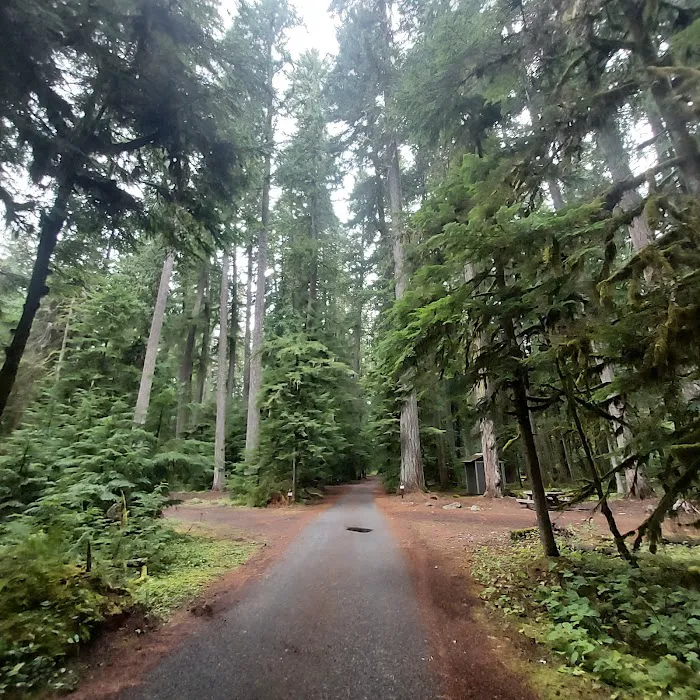 The Dalles Campground Picture 5