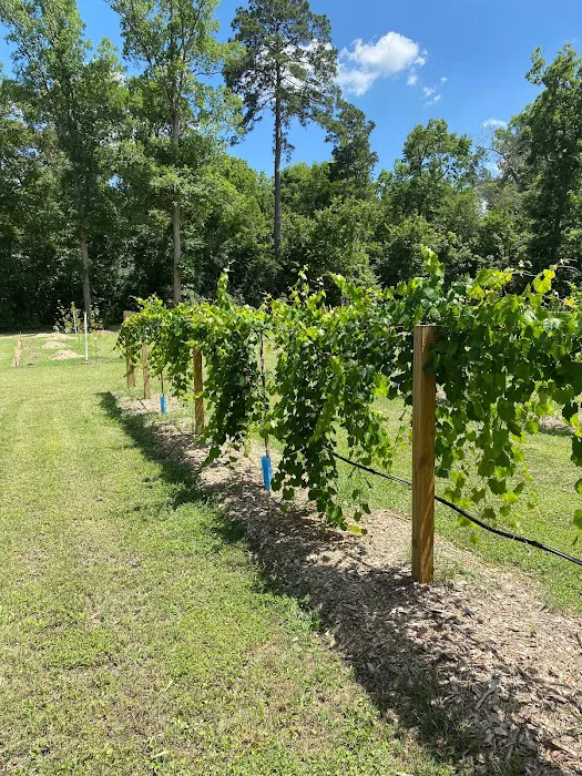 Crazy Grape RV Park LLC Picture 2