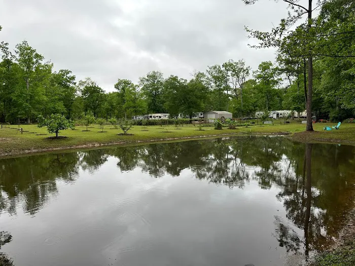 Crazy Grape RV Park LLC Picture 5
