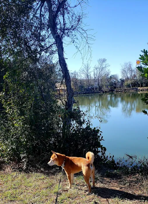 Sealy RV Park Picture 5