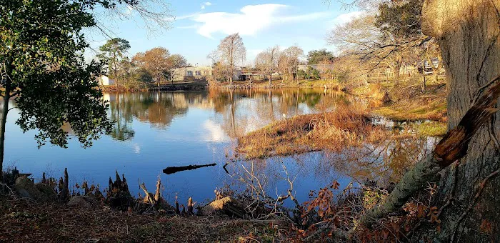 Sealy RV Park Picture 8