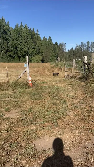 High Hopes Farm Picture 1