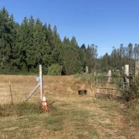 High Hopes Farm ico