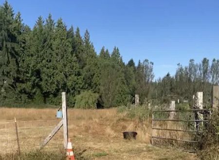 High Hopes Farm