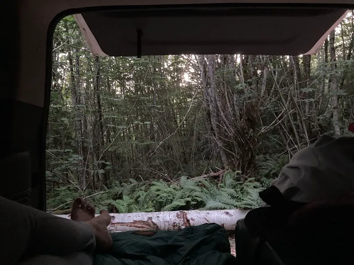 Wandering Joy Campground Picture 6