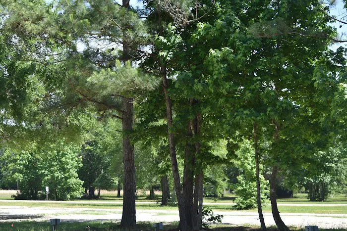 Peaceful Pines RV Park Picture 9