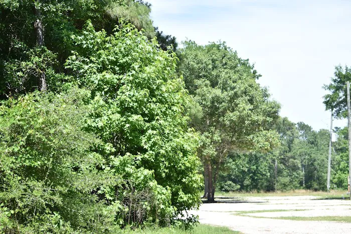 Peaceful Pines RV Park Picture 10
