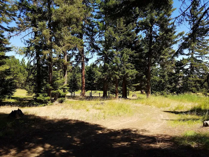 Tamarack Spring Campground Picture 2