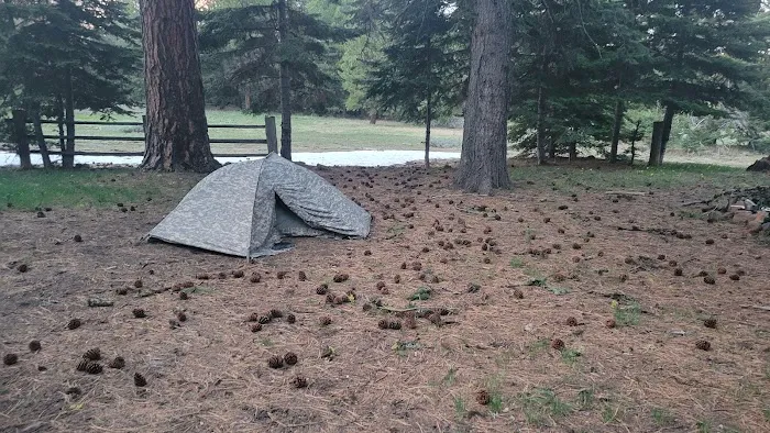Tamarack Spring Campground Picture 1