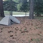 Tamarack Spring Campground