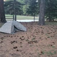 Tamarack Spring Campground ico