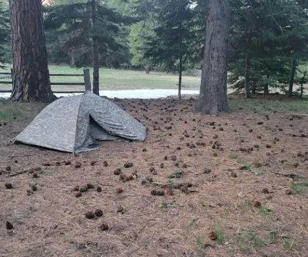 Tamarack Spring Campground