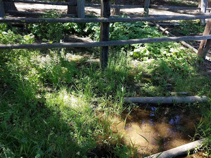 Tamarack Spring Campground Picture 4