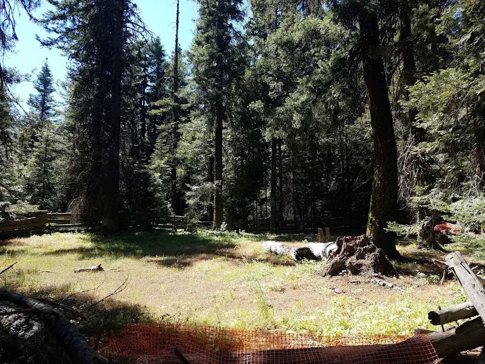 Tamarack Spring Campground Picture 8