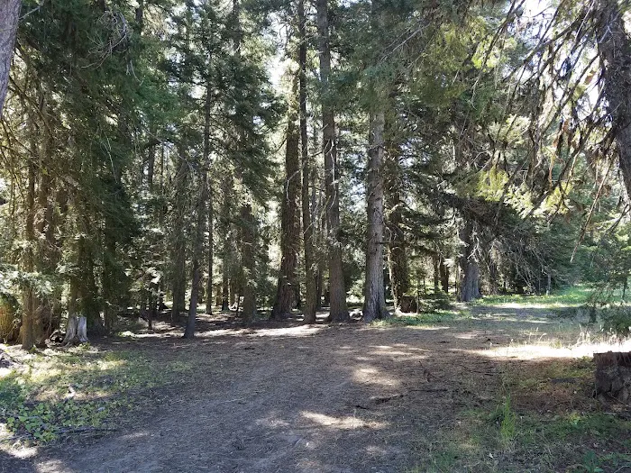Tamarack Spring Campground Picture 10