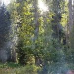 Phelps Creek Campground / Horse Camp