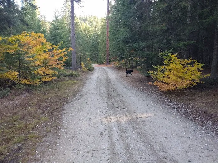 Goose Creek Campground Picture 2