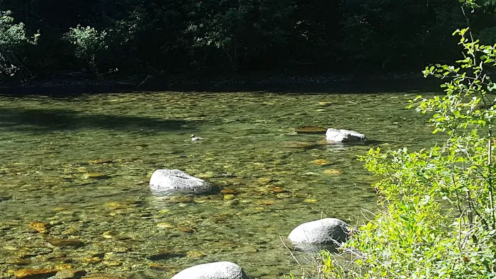Goose Creek Campground Picture 6