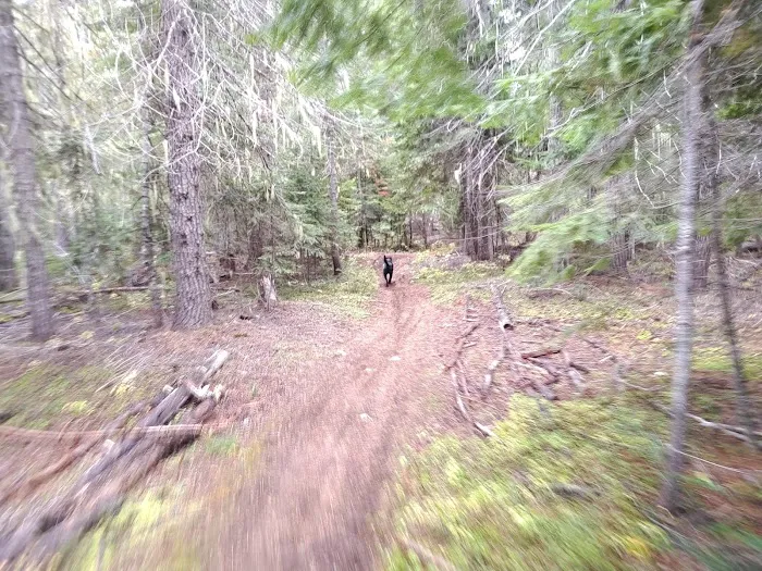 Goose Creek Campground Picture 10