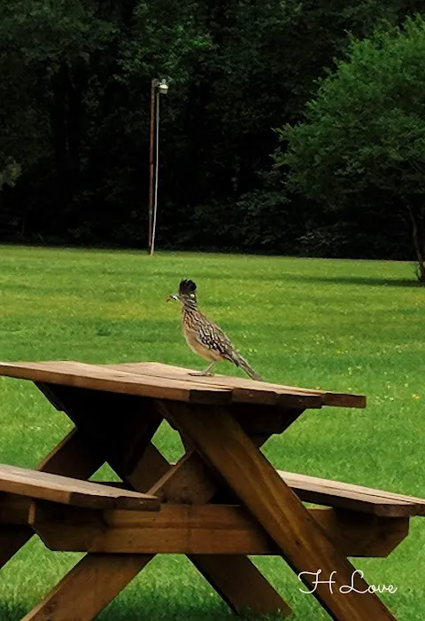 Firetower RV Park Picture 2