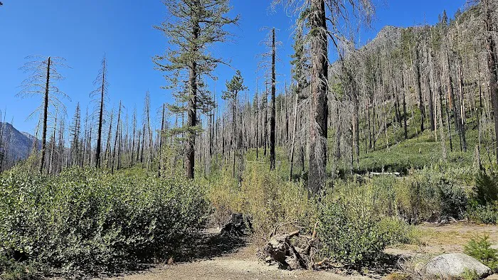 Cottonwood Campground Picture 2