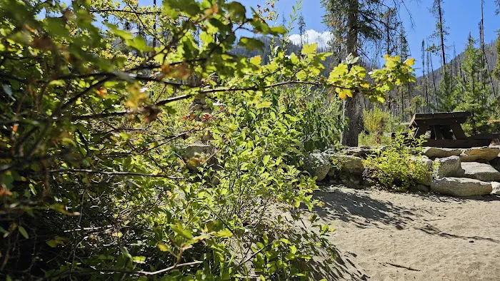 Cottonwood Campground Picture 4