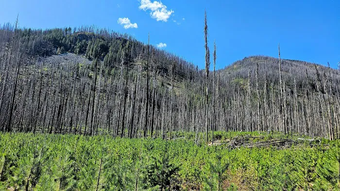 Cottonwood Campground Picture 6