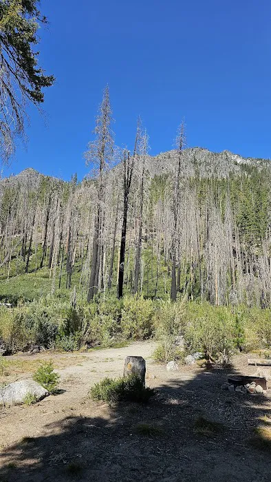 Cottonwood Campground Picture 8