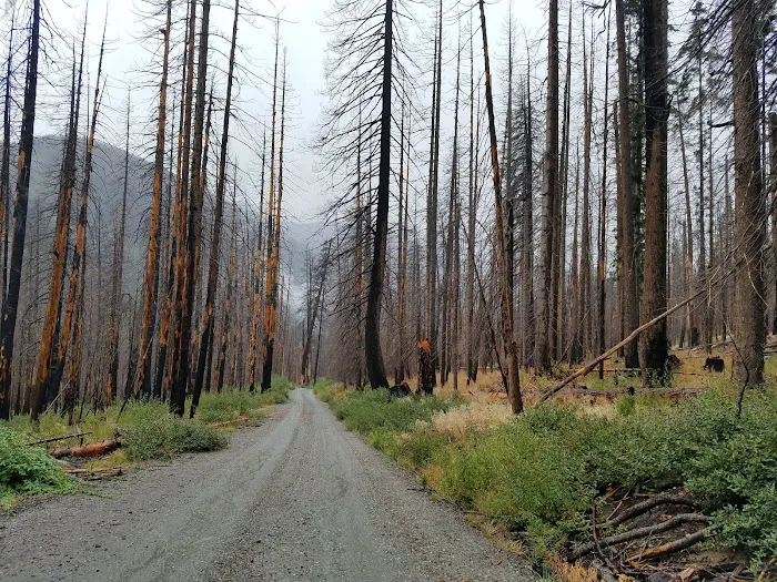 Cottonwood Campground Picture 7