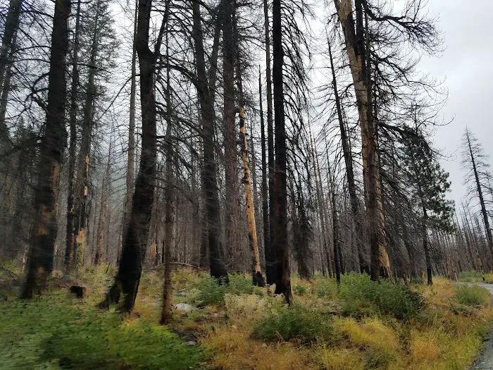 Cottonwood Campground Picture 9