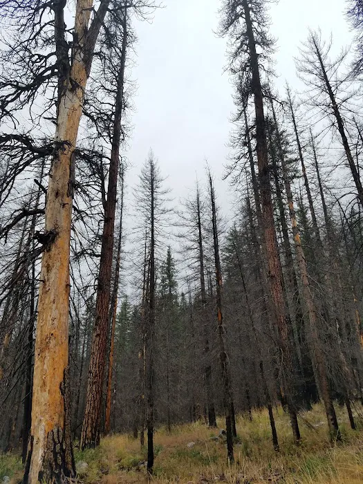 Cottonwood Campground Picture 10