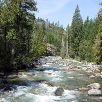 Spruce Grove Campground ico