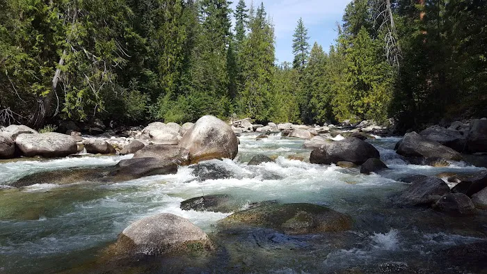Spruce Grove Campground Picture 2