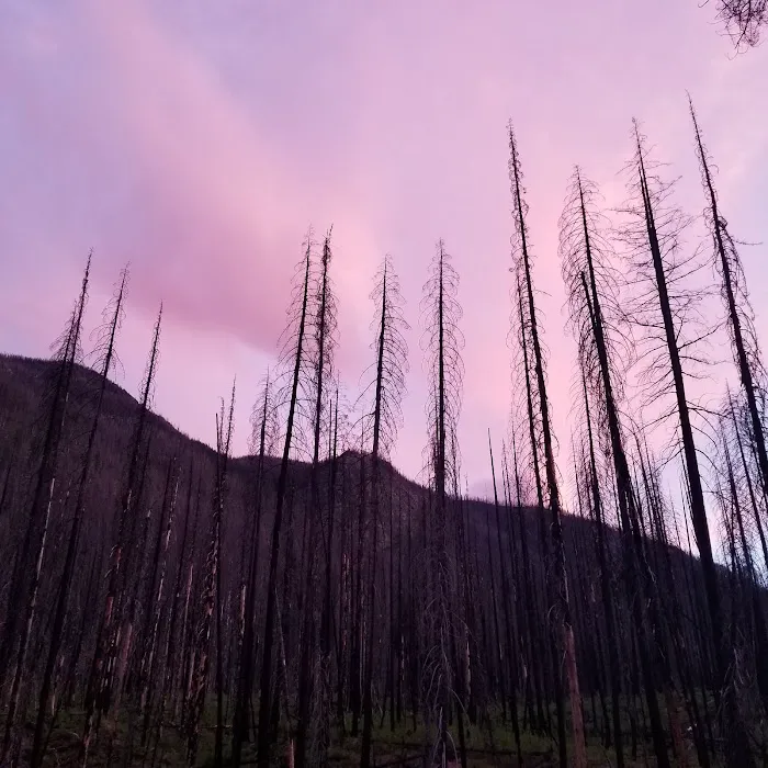 North Fork Campground Picture 2