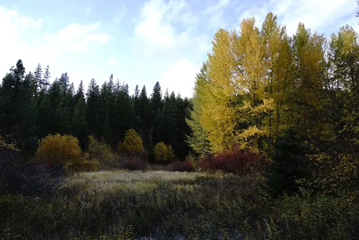 Camp CAMREC Picture 9