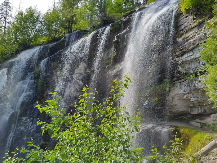 Silver Falls Campground Picture 5