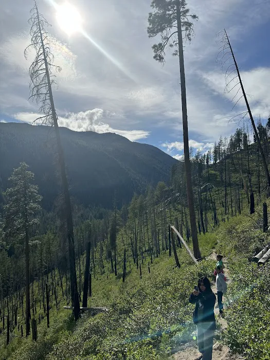 Silver Falls Campground Picture 7