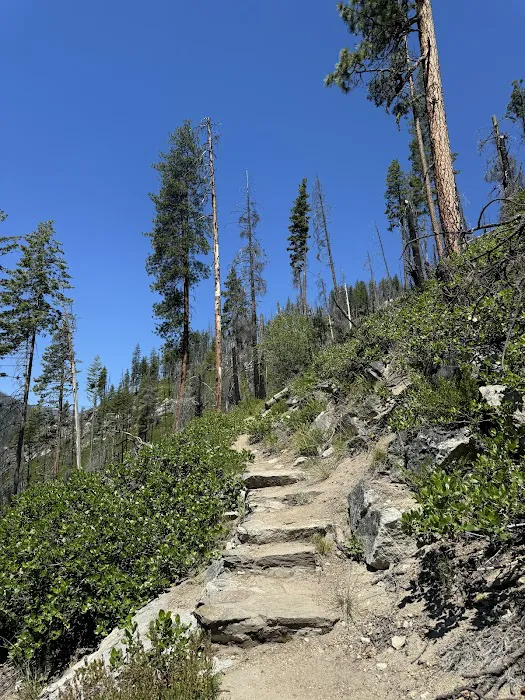 Silver Falls Campground Picture 10