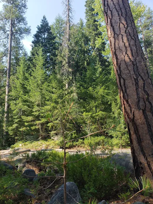 Fox Creek Campground Picture 4