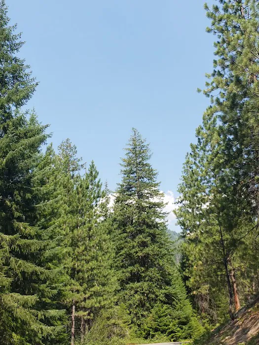 Fox Creek Campground Picture 8